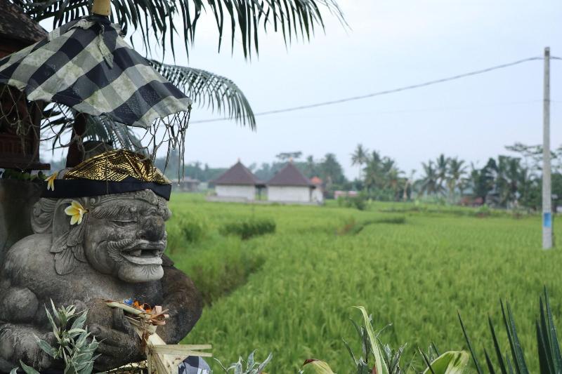 Villa Jj And Spa Ubud - Aktivite