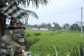 Villa Jj And Spa Ubud fotoÄŸrafÄ±