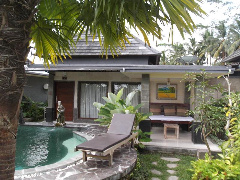 Villa Jj And Spa Ubud - Aktivite