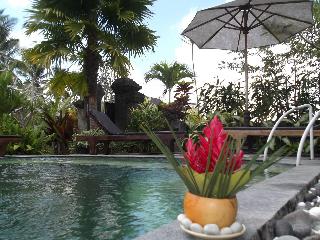 Villa Jj And Spa Ubud fotoÄŸrafÄ±