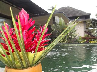 Villa Jj And Spa Ubud fotoÄŸrafÄ±