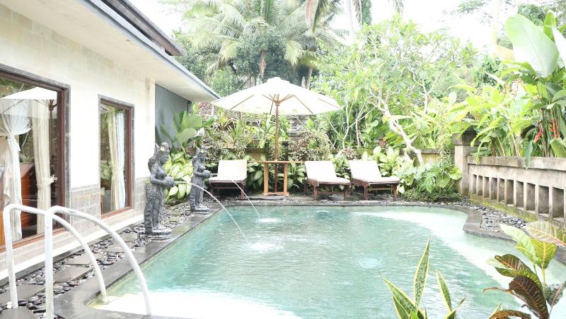 Villa Jj And Spa Ubud - Aktivite