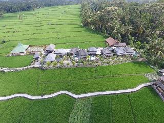 Villa Jj And Spa Ubud otel fotoğrafı