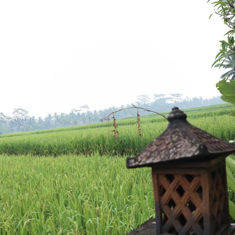 Villa Jj And Spa Ubud - Genel