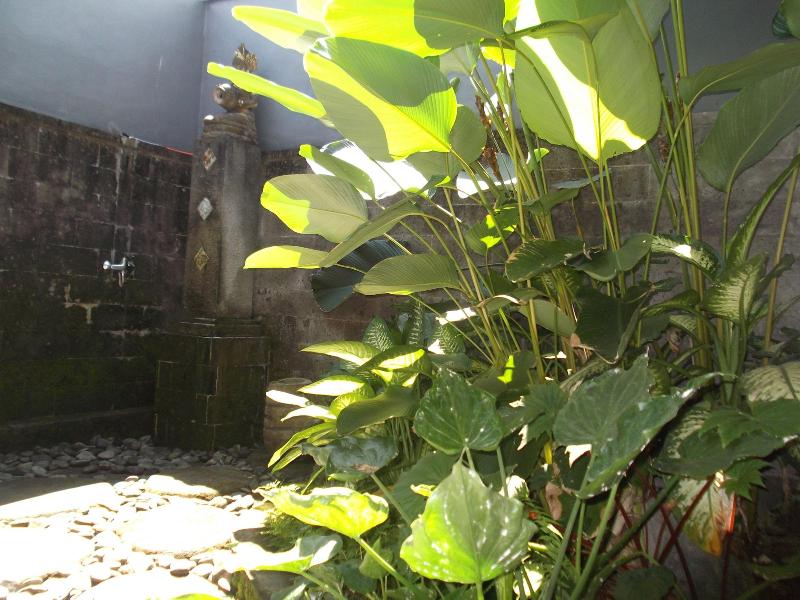 Villa Jj And Spa Ubud - Genel