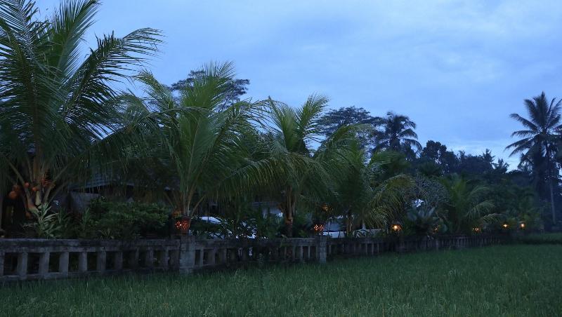 Villa Jj And Spa Ubud - Genel