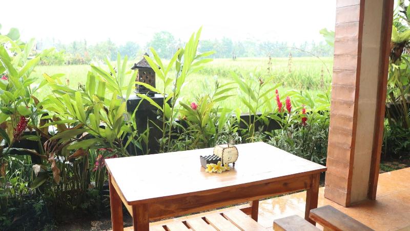 Villa Jj And Spa Ubud - Oda