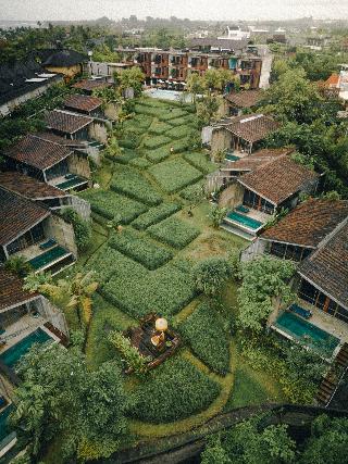 Shore Amora Canggu fotoÄŸrafÄ±