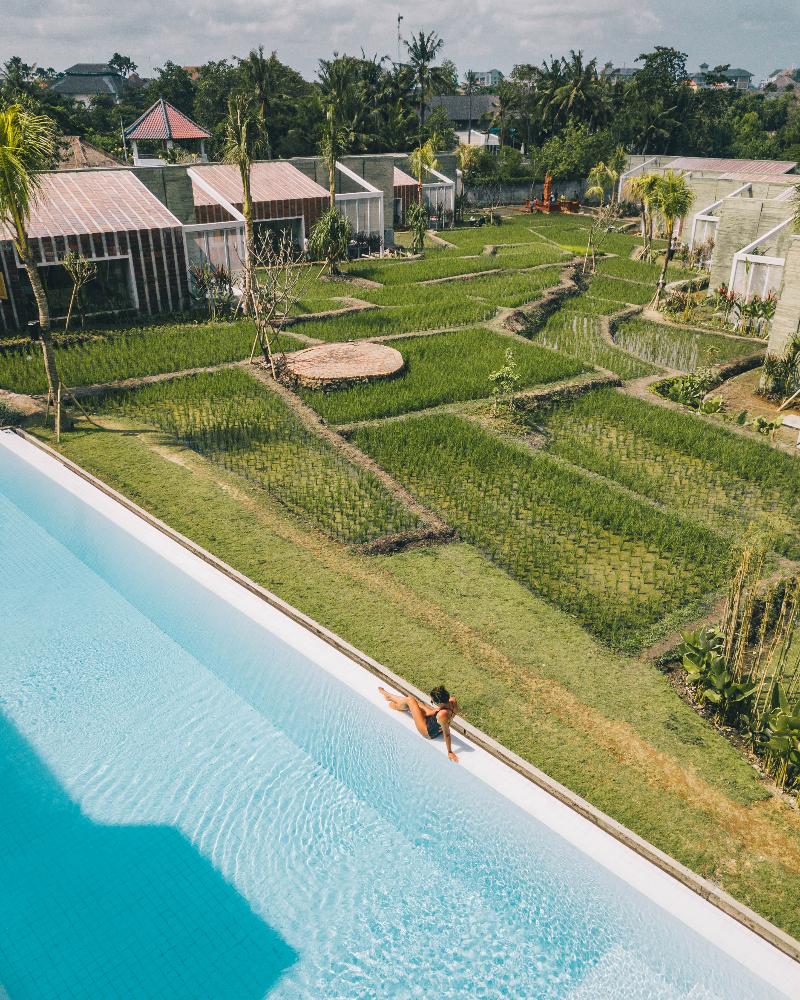 Shore Amora Canggu - Havuz