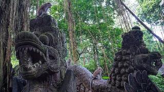 Pondok Massas Ubud fotoÄŸrafÄ±