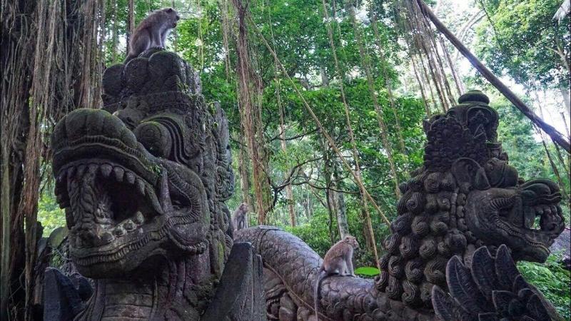 Pondok Massas Ubud - Genel