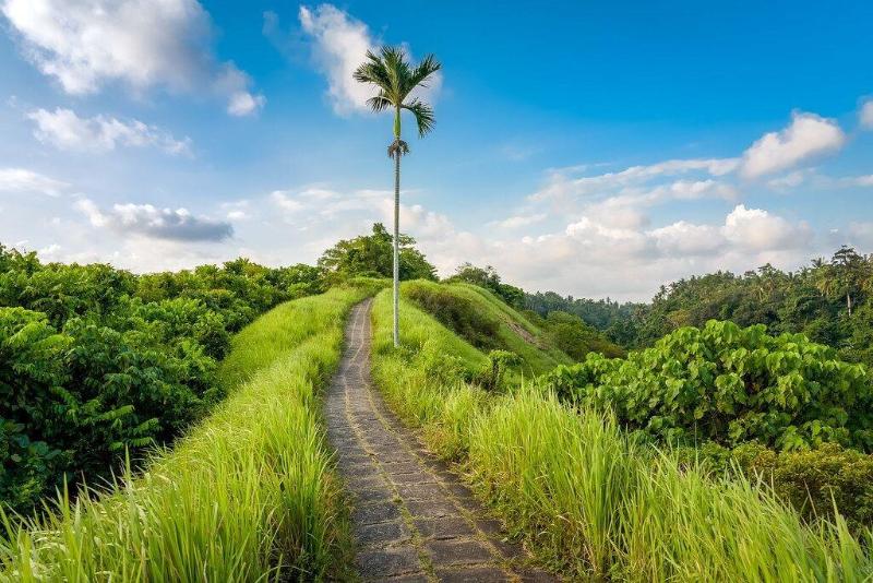 Pondok Massas Ubud - Genel