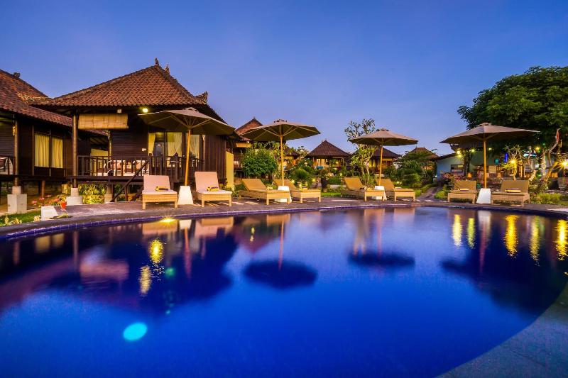 Bali Belva - Aktivite