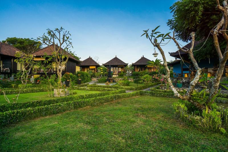 Bali Belva - Genel