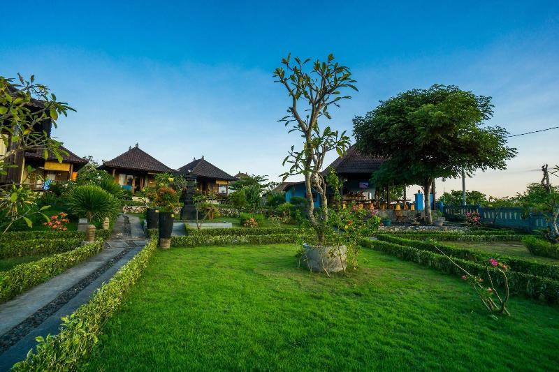 Bali Belva - Genel