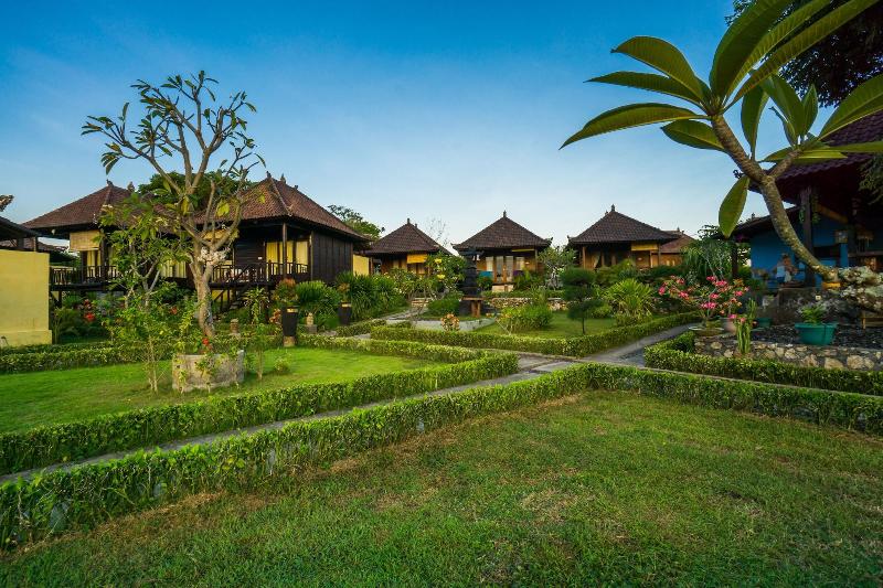 Bali Belva - Oda