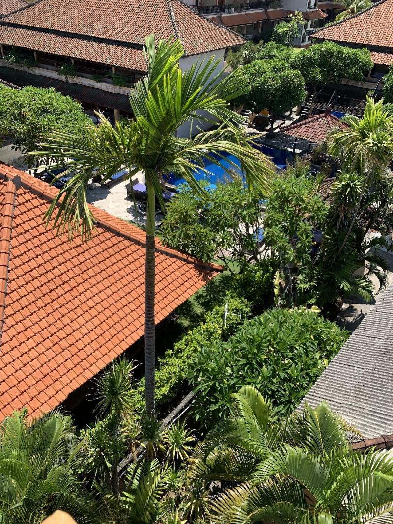 Fat Yogi Cottages - Genel