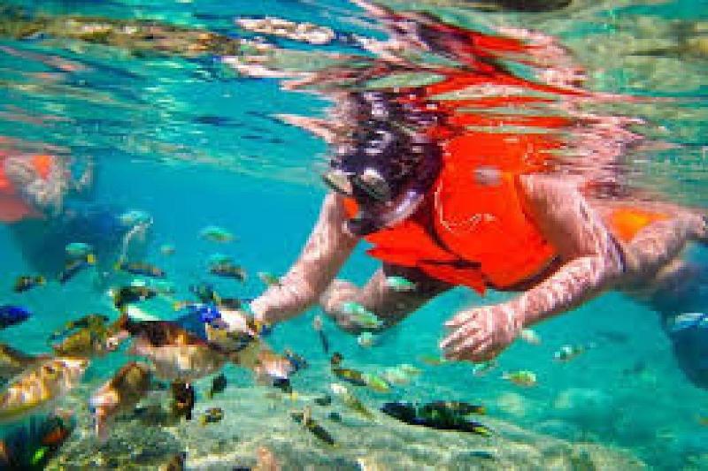 Gili Breeze Tropical Bungalows - Aktivite