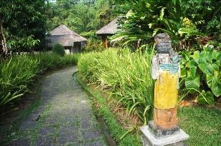 Yeh Panes Bali fotoÄŸrafÄ±