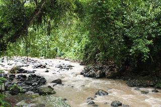 Yeh Panes Bali fotoÄŸrafÄ±