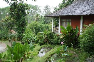 Yeh Panes Bali fotoÄŸrafÄ±