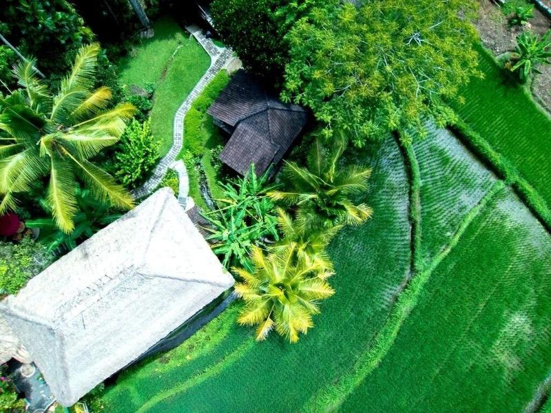Prashanti Ubud - Genel