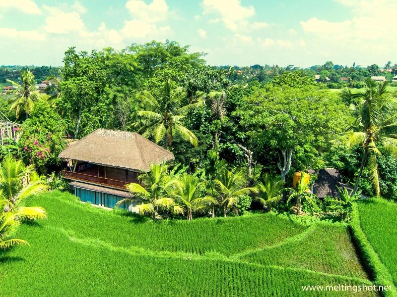 Prashanti Ubud - Genel