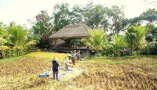 Prashanti Ubud fotoÄŸrafÄ±