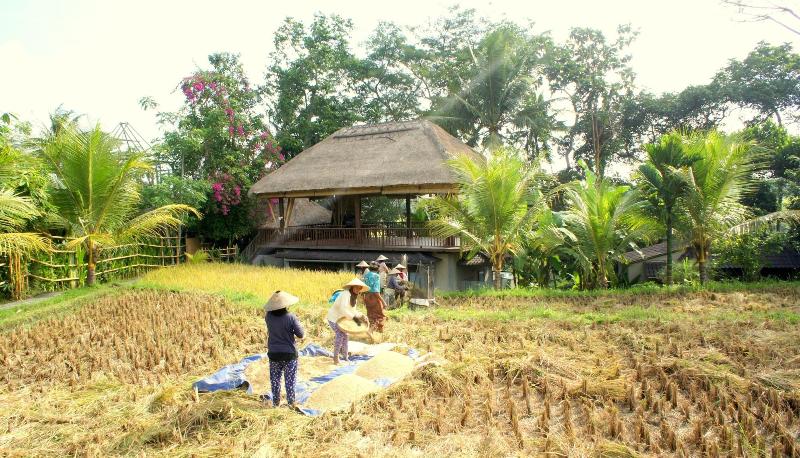 Prashanti Ubud - Genel