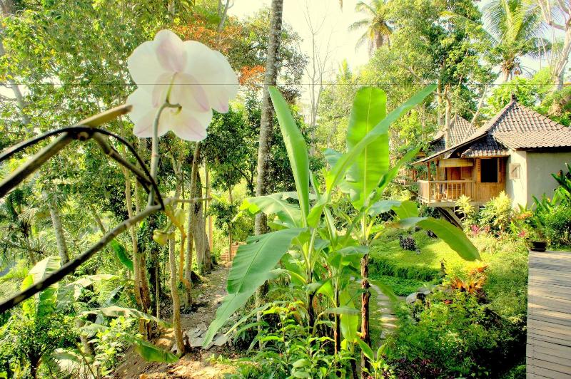 Prashanti Ubud - Genel