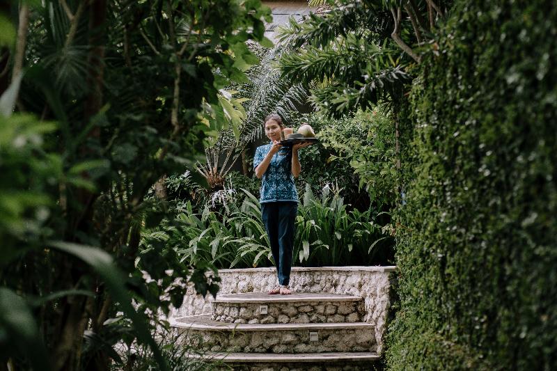 Zin Canggu Resort Villas - Genel