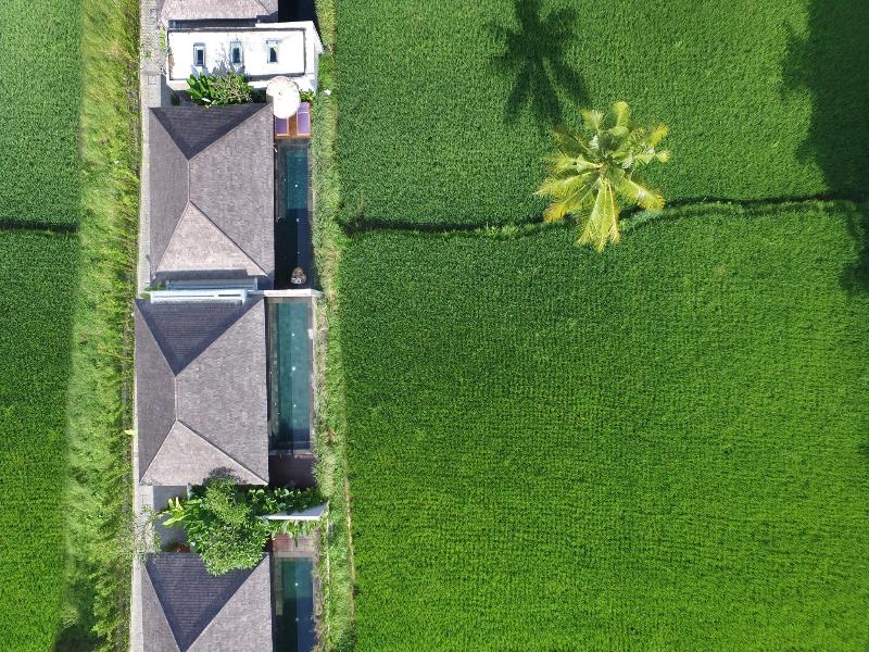 Kaamala Resort Ubud by Ini Vie Hospitality - Genel