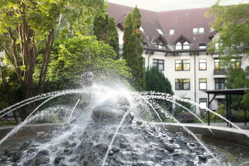 Rubin Wellness & Conference Hotel - Genel