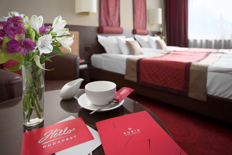 Rubin Wellness & Conference Hotel - Oda