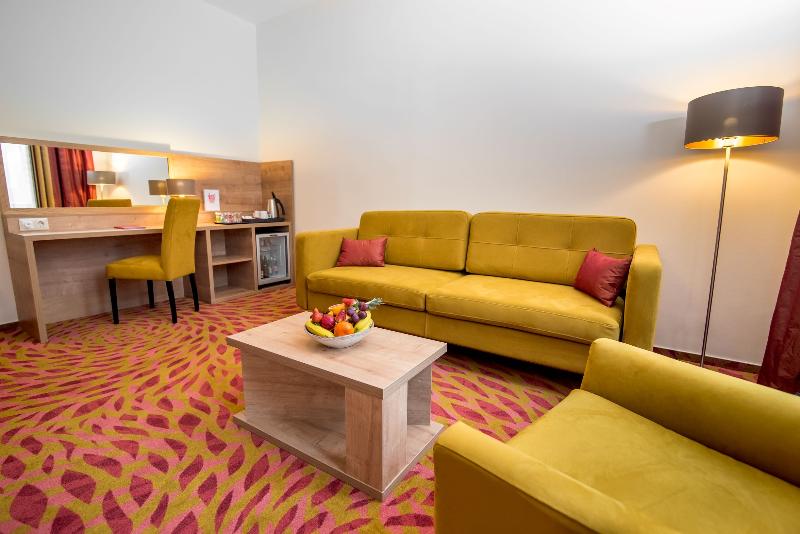 Rubin Wellness & Conference Hotel - Oda