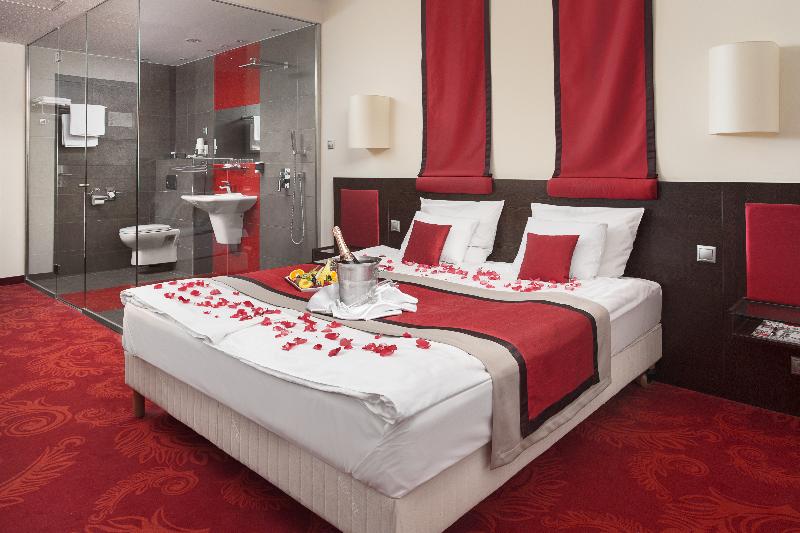 Rubin Wellness & Conference Hotel - Oda