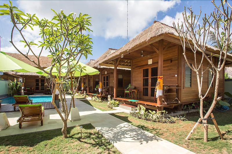 Gecko Bungalows - Genel