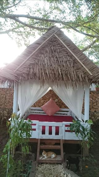 Cosmos Bungalows fotoÄŸrafÄ±