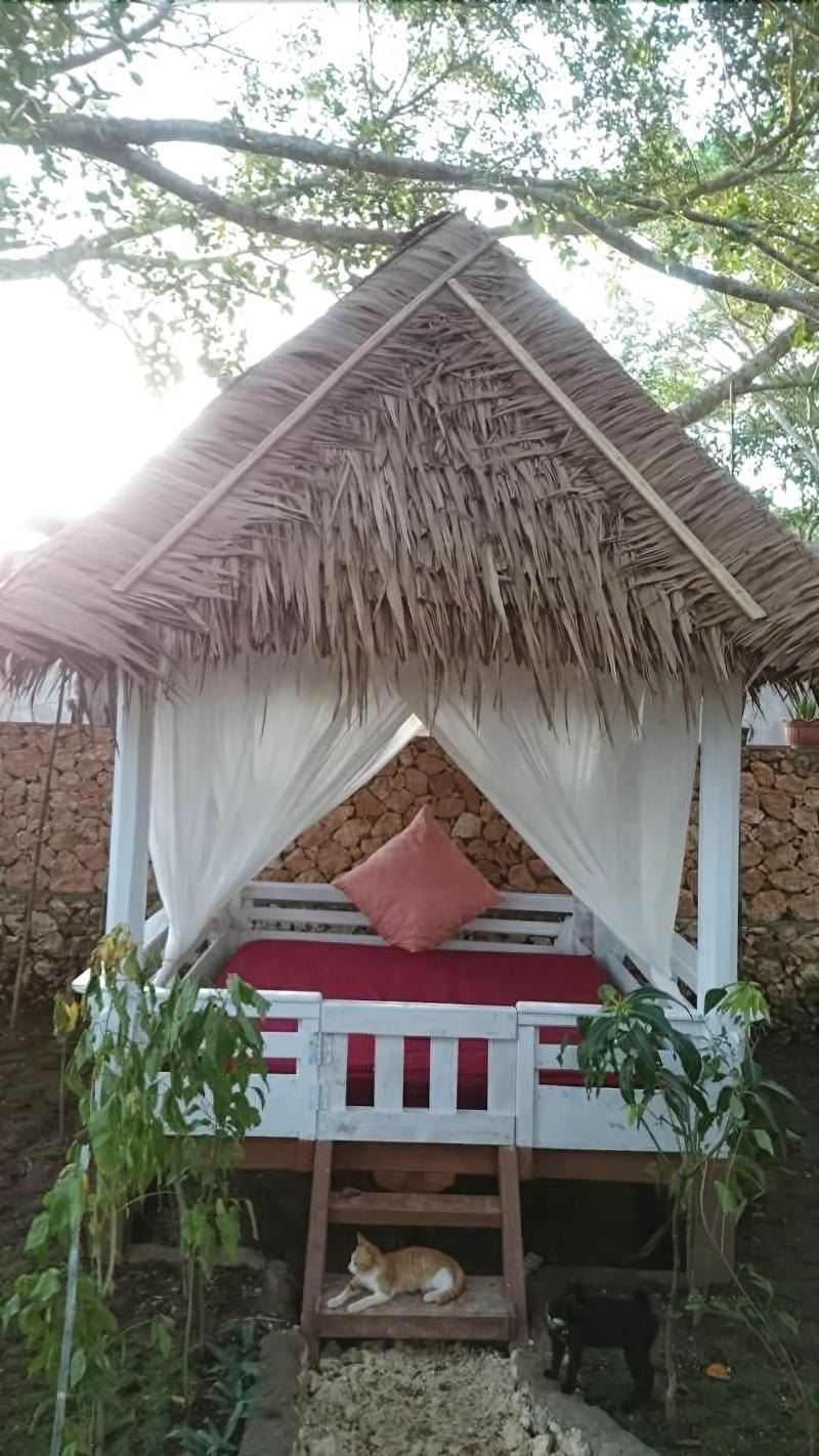 Cosmos Bungalows - Lobi