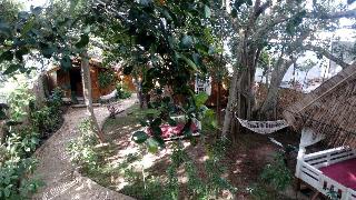 Cosmos Bungalows fotoÄŸrafÄ±