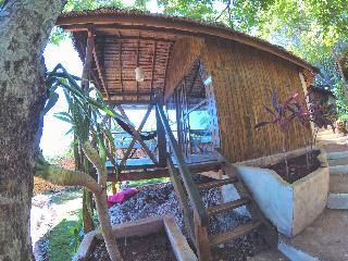 Cosmos Bungalows fotoÄŸrafÄ±