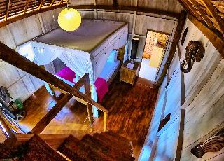 Cosmos Bungalows fotoÄŸrafÄ±