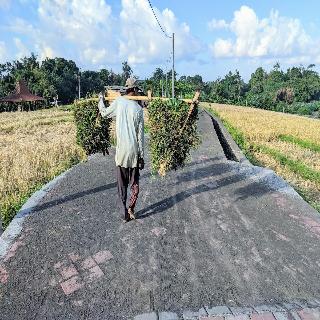 Ohana Retreat Bali fotoÄŸrafÄ±