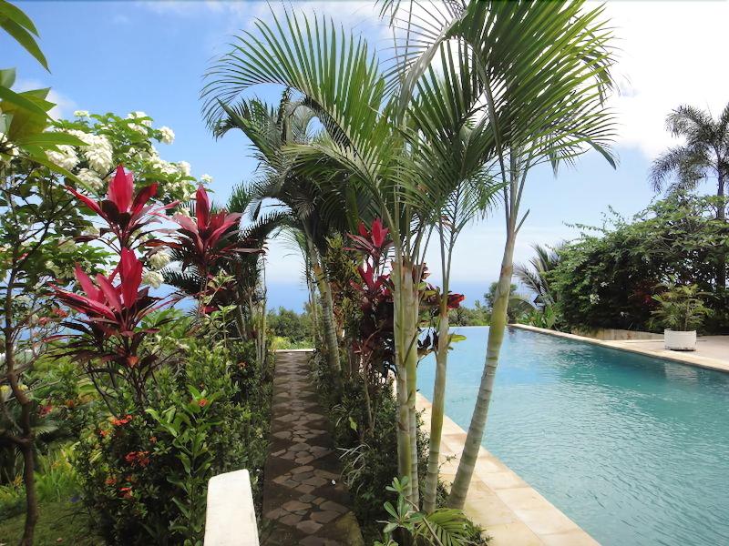 The Hamsa Bali Resort - Teras