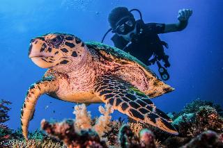 Lutwala Dive And Bungalows fotoÄŸrafÄ±