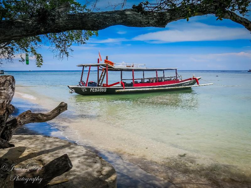 Lutwala Dive And Bungalows - Genel