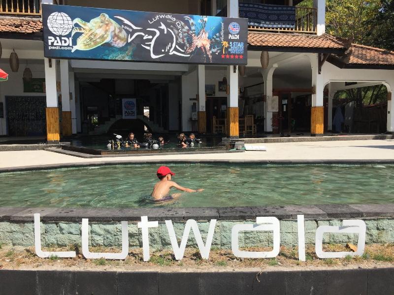 Lutwala Dive And Bungalows - Genel