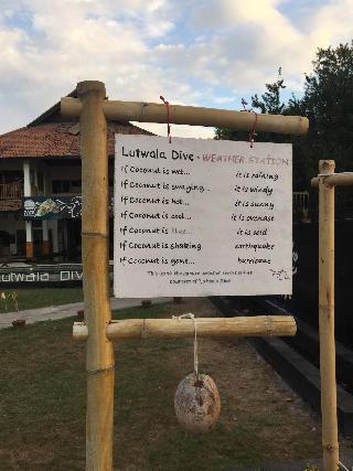 Lutwala Dive And Bungalows fotoÄŸrafÄ±