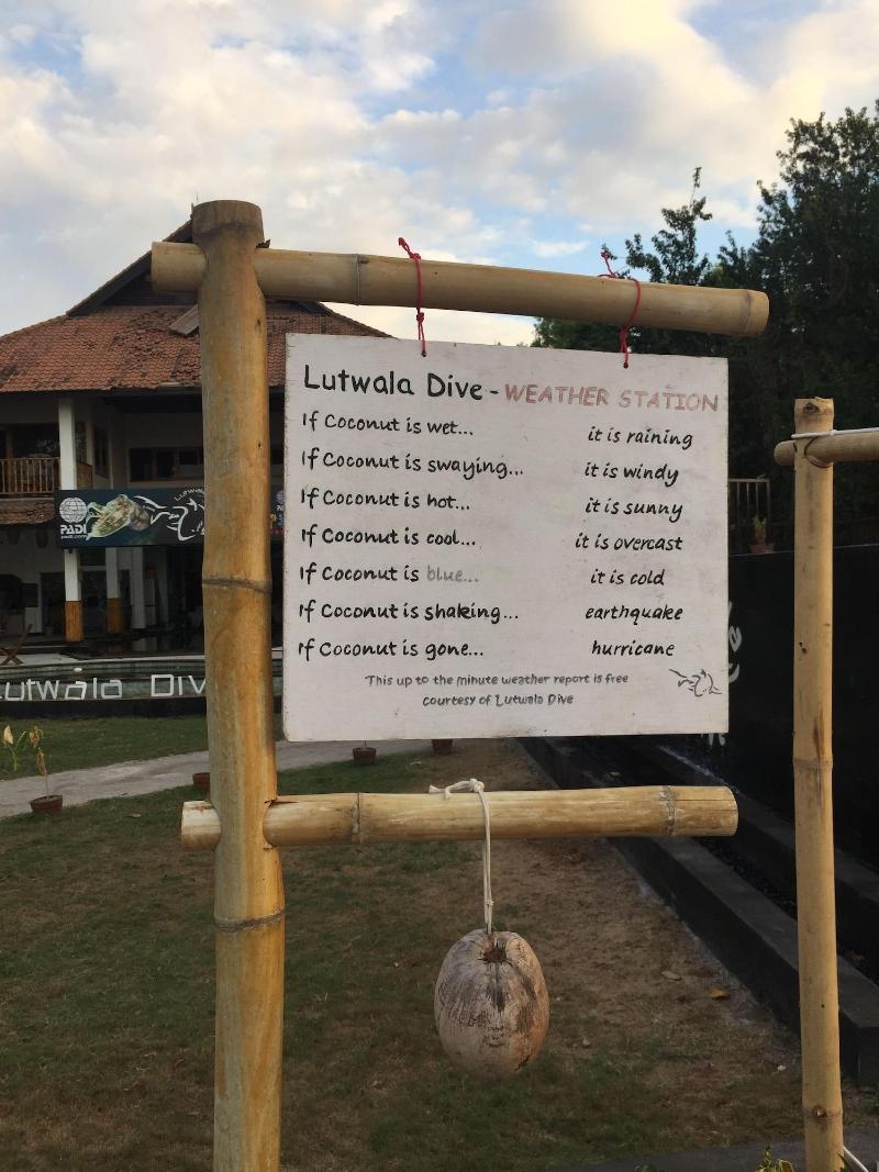 Lutwala Dive And Bungalows - Genel