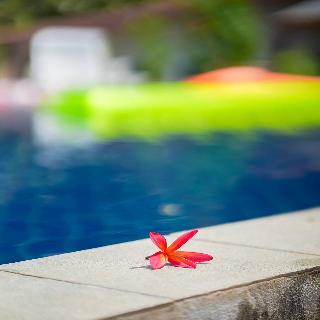 Phi Phi Cozy Seafront Resort fotoÄŸrafÄ±